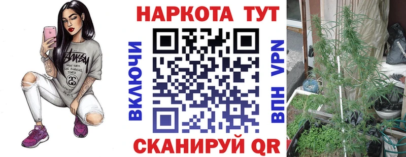 Продажа наркотиков Каргат Бошки Шишки  A PVP  Псилоцибиновые грибы  Мефедрон 