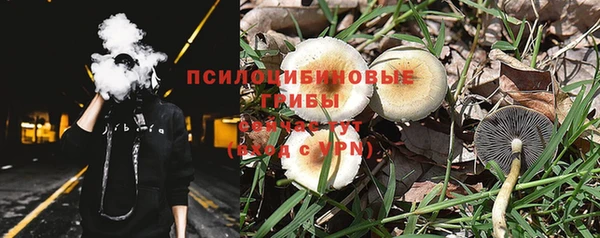 синтетический гашиш Алексин