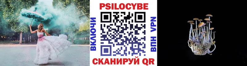 Псилоцибиновые грибы MAGIC MUSHROOMS  Каргат 